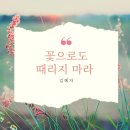 미양초교병설유치원 이미지