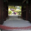 양구 심곡사 목조 아미타삼존불좌상 및 복장유물 | 영주/부석사, 무섬마을,흑석사