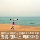 향호농장 | 강릉 웰니스 관광 테마버스 여행코스 후기