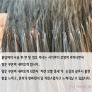 뷰티어스 - 영천시 문외2길 33 | 뷰티어스