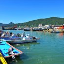 탐진한우 이미지