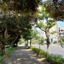 김정문화로 이미지