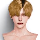 N130 네이버블로그