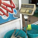 묵호수산 | [인해수산&amp;묵호항횟집] 묵호 내돈내산 대게 후기