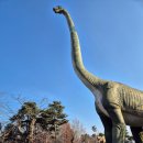 칠곡 가산 제006호 | 대구 근교 대형카페 칠곡 가산수피아 모하더그린하우스