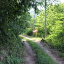 소나무주유소 이미지