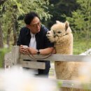 동네한바퀴