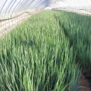 용용농장 이미지