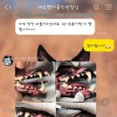 네오펫동물메디컬센터