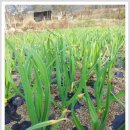 병현농장 이미지