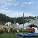 코코숲 이미지