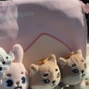 희 이미지