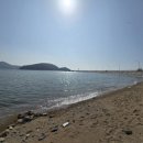 소나무집 이미지