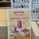 왕버들로 이미지