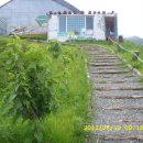 미래목장 이미지