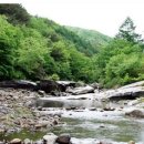 서동계곡 상류 이미지