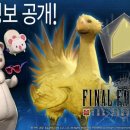 주식회사 더컬렉션 이미지