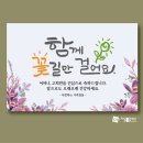 밝은실사