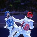 태백태권도 이미지