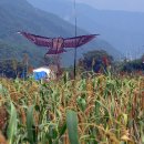 김삿갓면-38 이미지