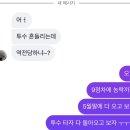 사계