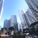 주식회사압구정파크부동산중개 | &#39;30억 클럽&#39; 한강 뷰 아파트, 9호선 초역세권 &#39;흑석 아크로리버하임