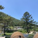 전남 여수 카페, 식사도 맛있는 돌산읍 카페_카페드몽돌 . ִ ֗☁︎ ✩⡱
