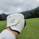 진골프산업 | 26년 7월 남양주 한림광릉CC 골프장 비오는날 급벙개 라운드 후기