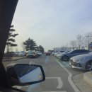 궁평항해오름수산시장 이미지