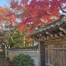 맛있는 밥상 이미지