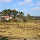 이성자농장 이미지