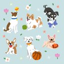 남산동물병원 이미지