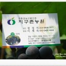 지구촌농원 이미지