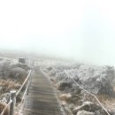 길따라행운 이미지