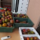 대평감산로 이미지