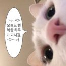 (주)한길인터라인 | w1. 대구 웨딩홀 투어 후기 총정리 (인터불고 엑스코/만촌, 수성호텔)