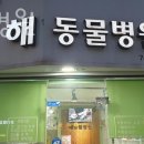 해동물병원 이미지
