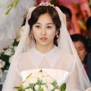 스타웨딩 Daum카페