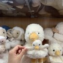홍콩노래광장 이미지