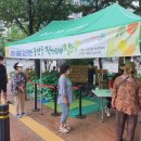 김삿갓면-17 이미지