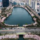 석촌호수로 이미지