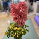 더. 예쁘다