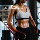 팀식스짐 이미지