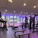 머슬 라운지 이미지