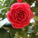 보승환경산업 이미지