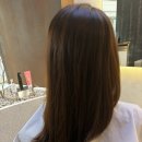 브이힐링헤어두피모발전문샵 | [압구정 헤드스파] 써니스힐 헤어&헤드스파 :: 두피 힐링부터 모발 케어까지 완벽했던 솔직 후기