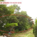 가재월리 이미지