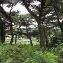 정고개농장 이미지