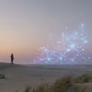 고요 이웃 | 알고리즘이 떠난 자리의 고요