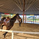 축산클럽 이미지